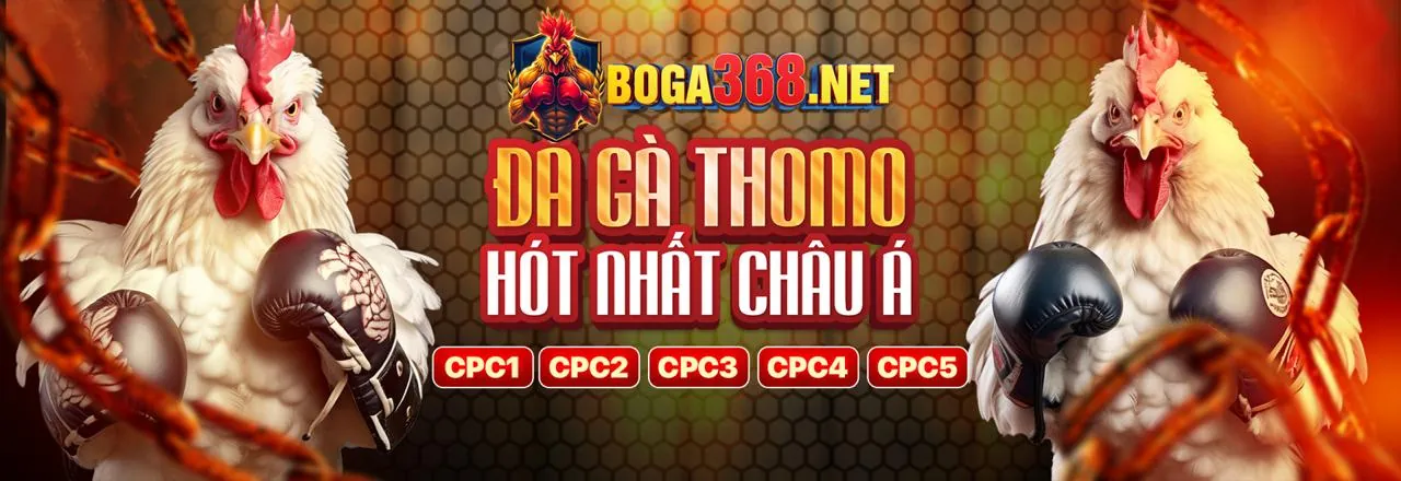 Ưu đãi độc quyền 123win bet